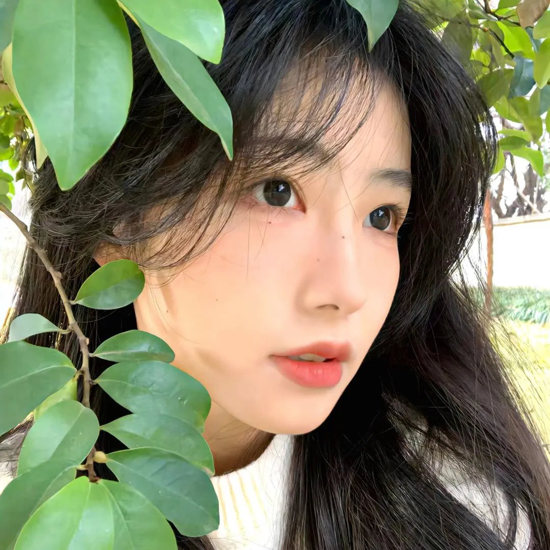 复仇岛