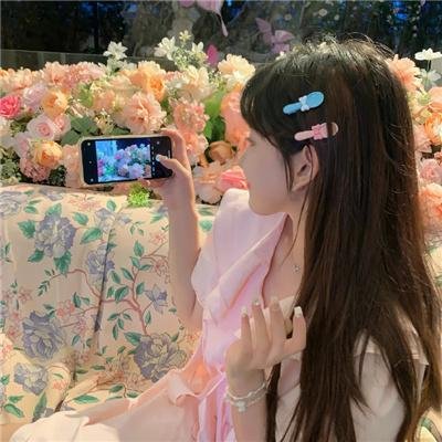 与凤飞
